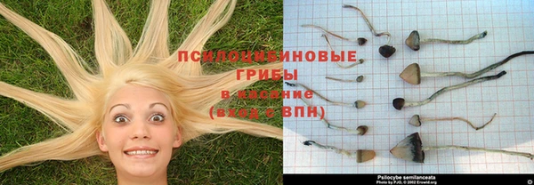 эйфоретик Абдулино