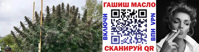 Дистиллят ТГК гашишное масло  Шумерля 