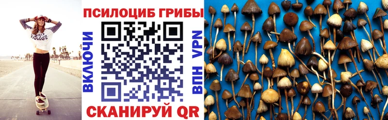Псилоцибиновые грибы Psilocybine cubensis  нарко площадка состав  Шумерля 